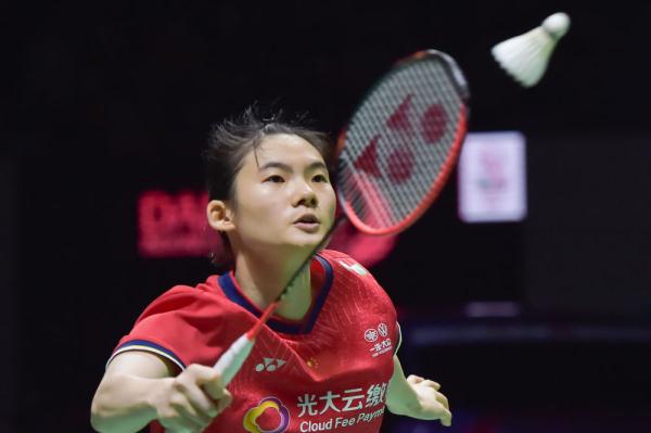 类似案件的 类似案件的